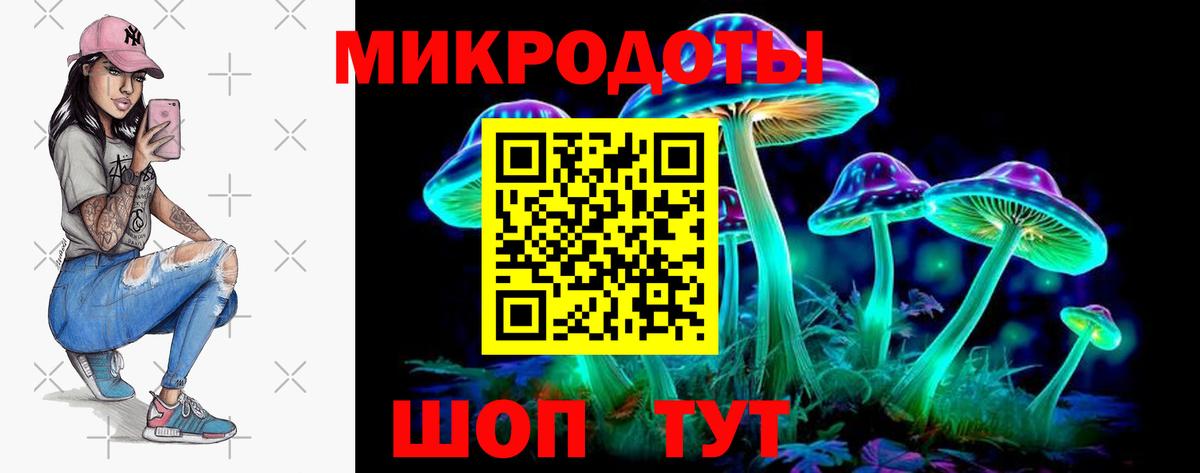 Псилоцибиновые грибы мухоморы Петровск
