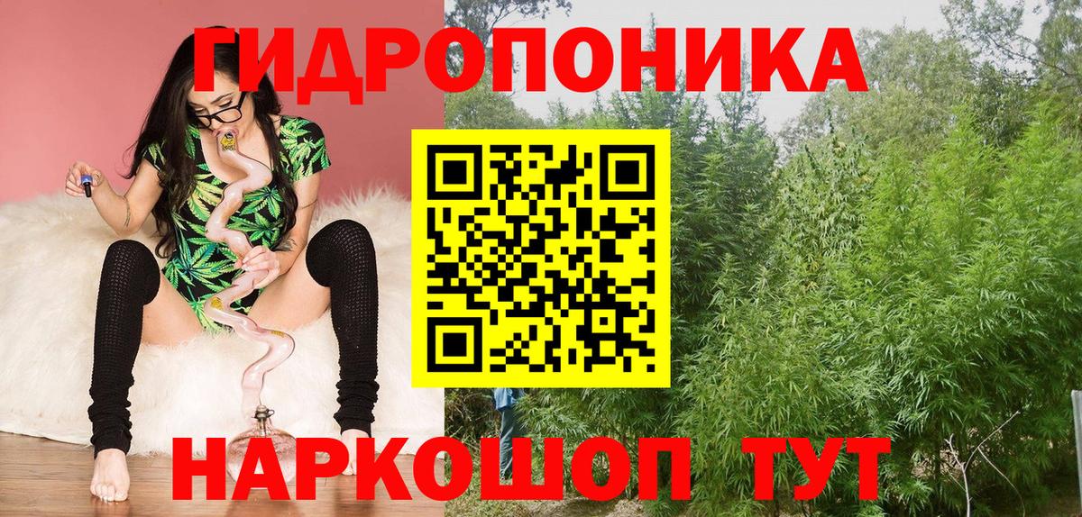 Каннабис гибрид  Конопля ГИДРОПОН  Вход с VPN  МАРИХУАНА марихуана  Петровск 